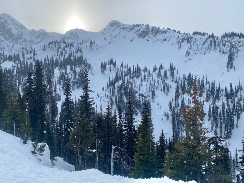 Revelstoke, Canada. Image © PlanetSKI